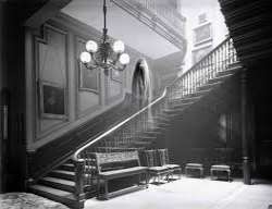 A photographer from country Life magazine had been A photographer from country Life magazine had been taking pictures at the hall when his assistant noticed a figure gliding down the grand oak staircas
